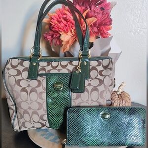 ‼️ LOW START ‼️Coach 2013 Signature Stripe Python Satchel w/ Matching Wallet EUC